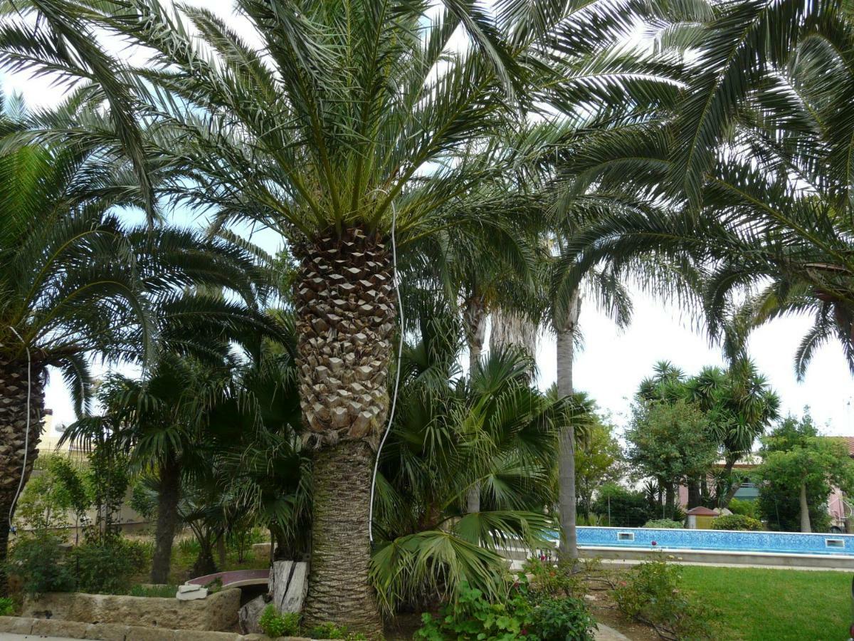 Villa Yucca Avola Exteriér fotografie