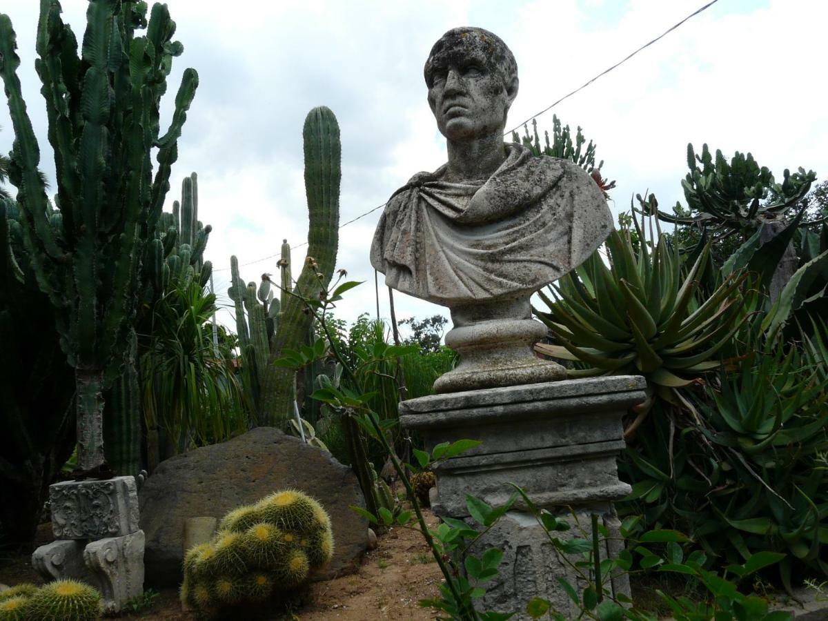 Villa Yucca Avola Exteriér fotografie