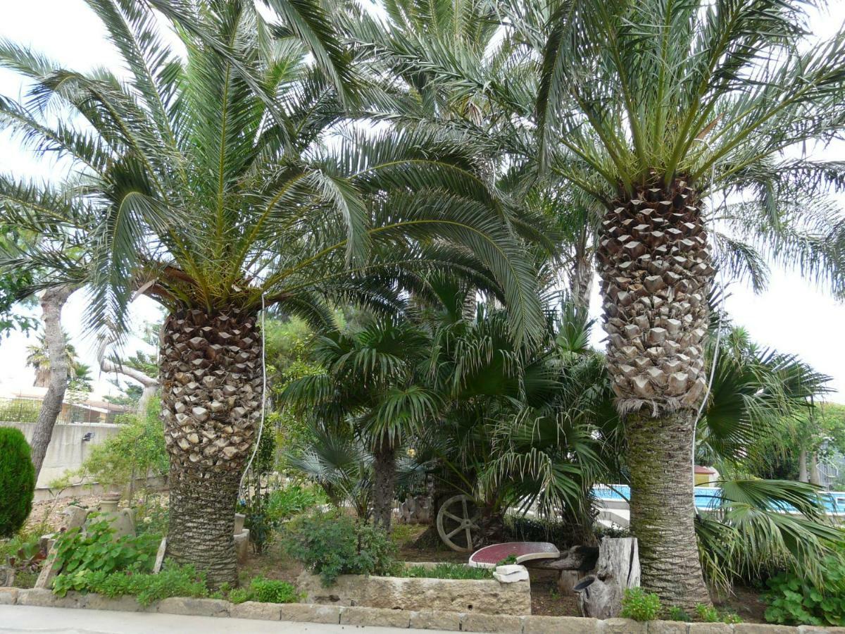 Villa Yucca Avola Exteriér fotografie