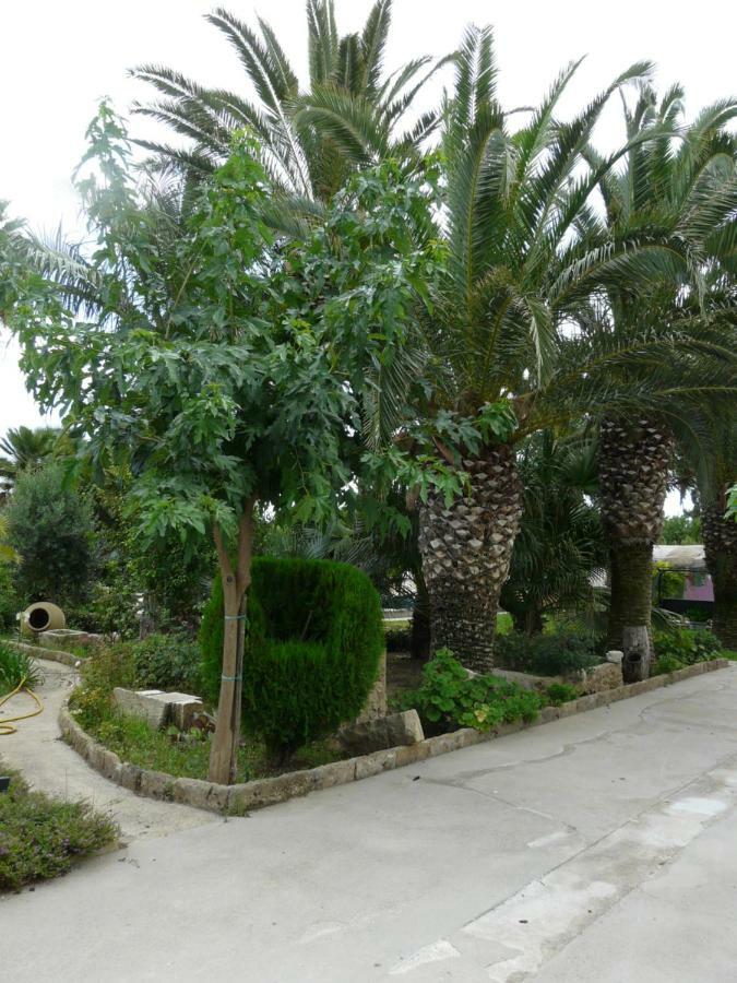 Villa Yucca Avola Exteriér fotografie